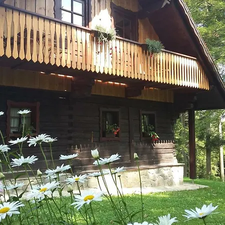 Pocitniska Hisa Koca Dobnik Villa Lovrenc na Pohorju Exterior photo