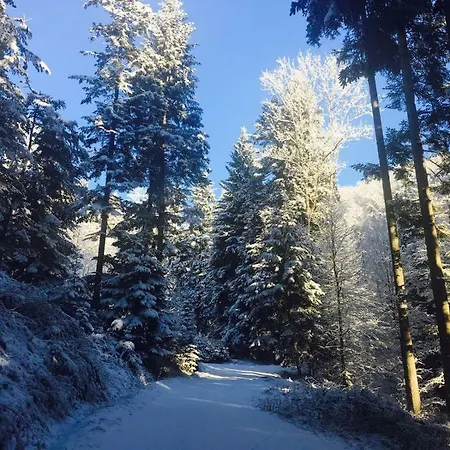 Pocitniska Hisa Koca Dobnik Villa Lovrenc na Pohorju Exterior photo