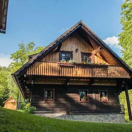 Pocitniska Hisa Koca Dobnik Villa Lovrenc na Pohorju Exterior photo