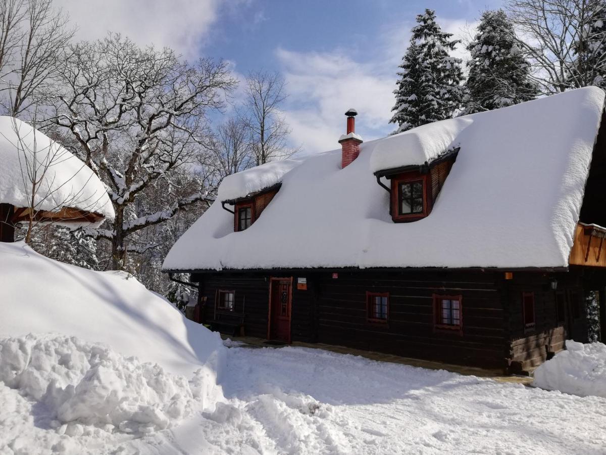 Lodge Pocitniska Hisa Koca Dobnik Lovrenc na Pohorju