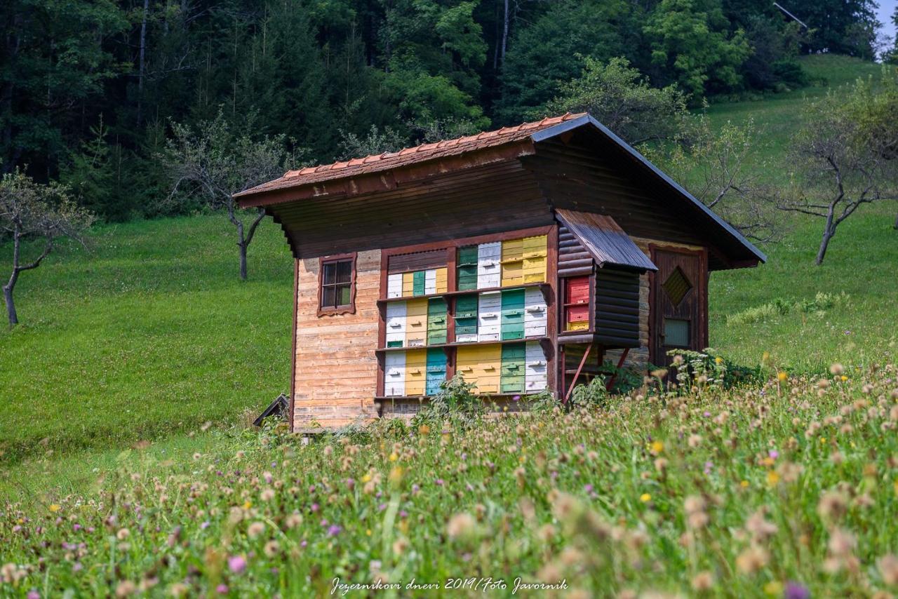Lodge Pocitniska Hisa Koca Dobnik *