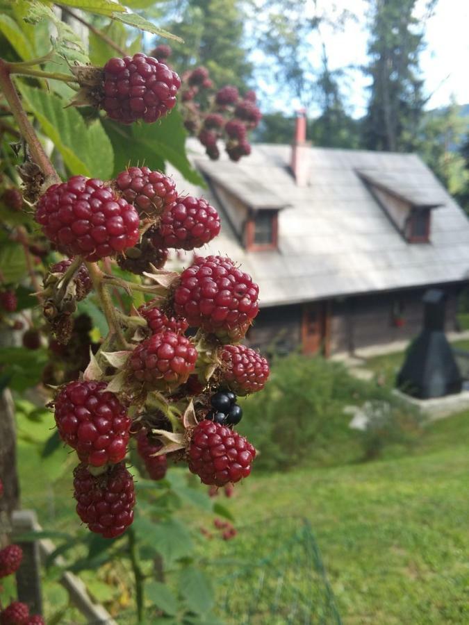Pocitniska Hisa Koca Dobnik * Lovrenc na Pohorju
