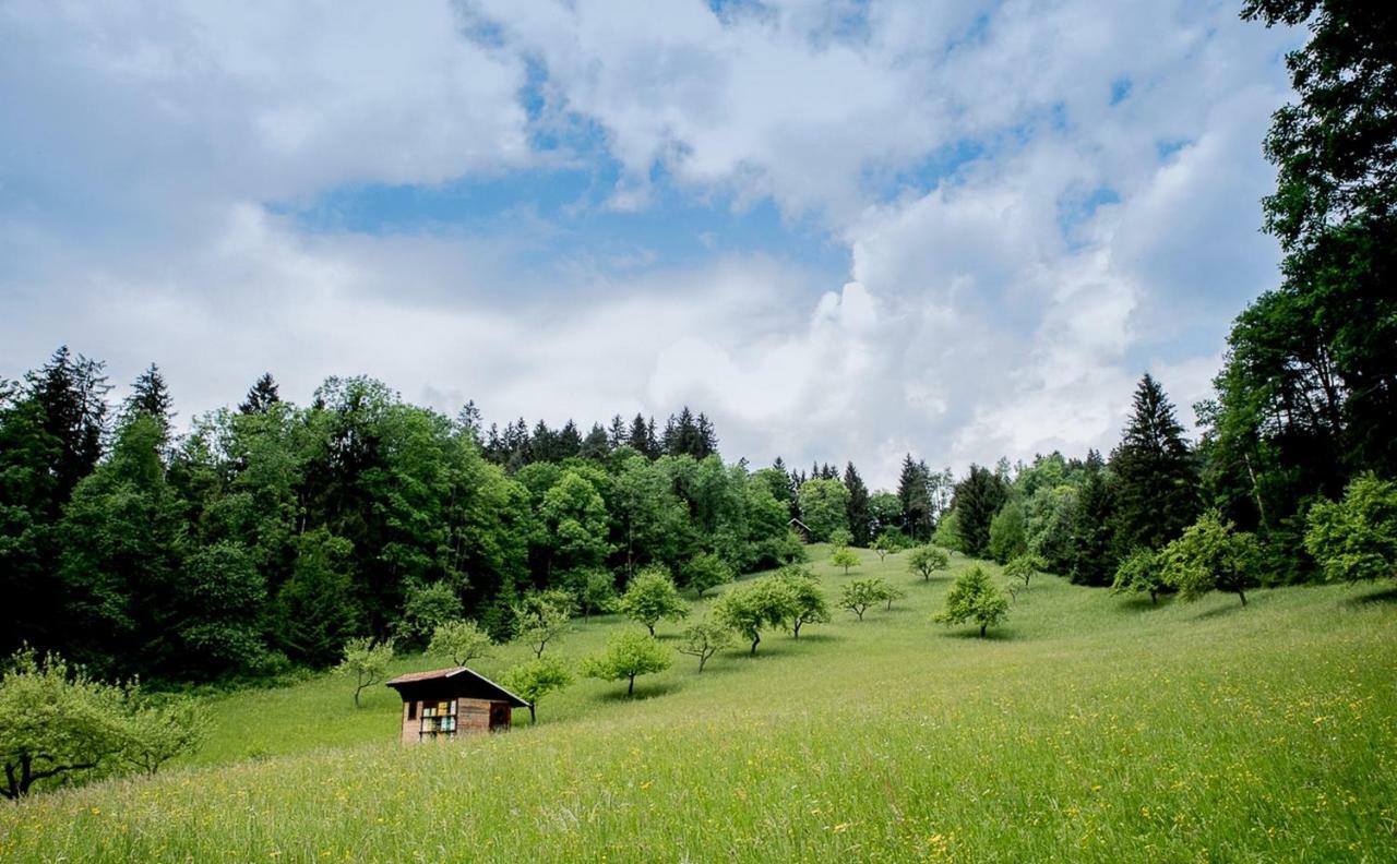 Pocitniska Hisa Koca Dobnik Lodge