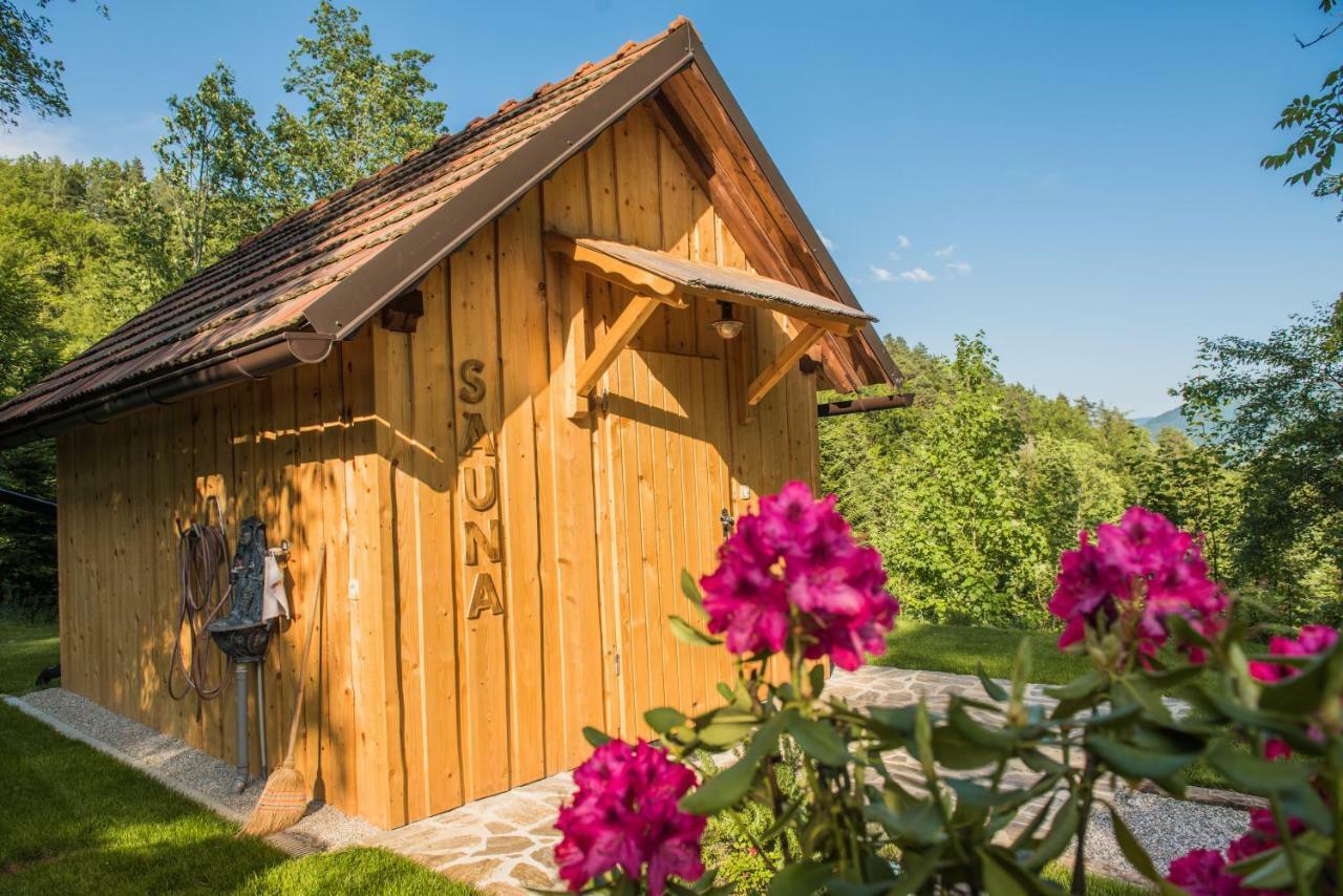 Pocitniska Hisa Koca Dobnik Lovrenc na Pohorju