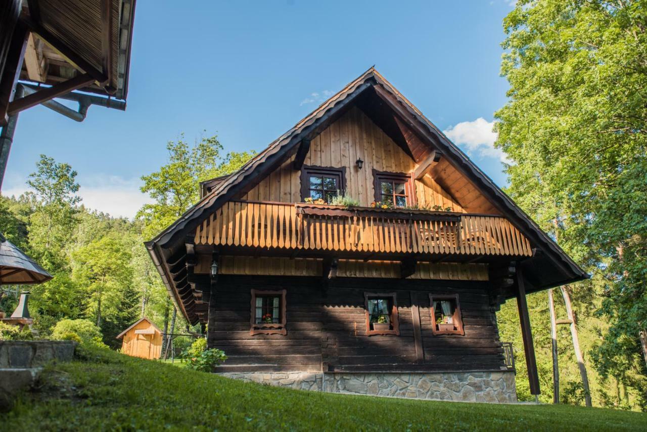 Lodge Pocitniska Hisa Koca Dobnik Lovrenc na Pohorju