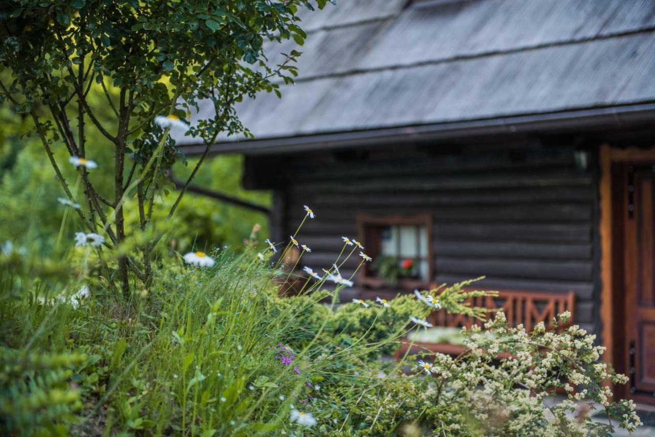 Lodge Pocitniska Hisa Koca Dobnik