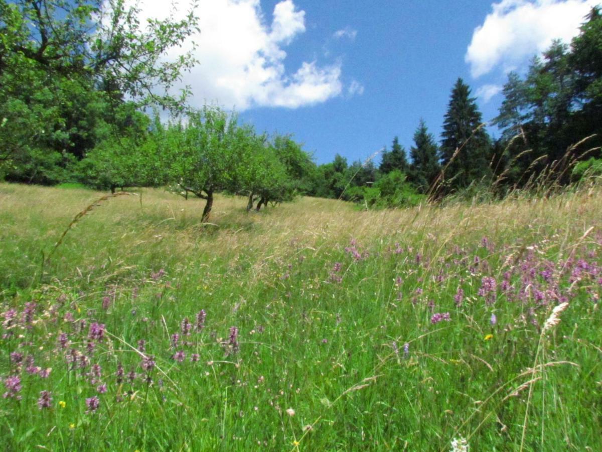 Lodge Pocitniska Hisa Koca Dobnik Lovrenc na Pohorju