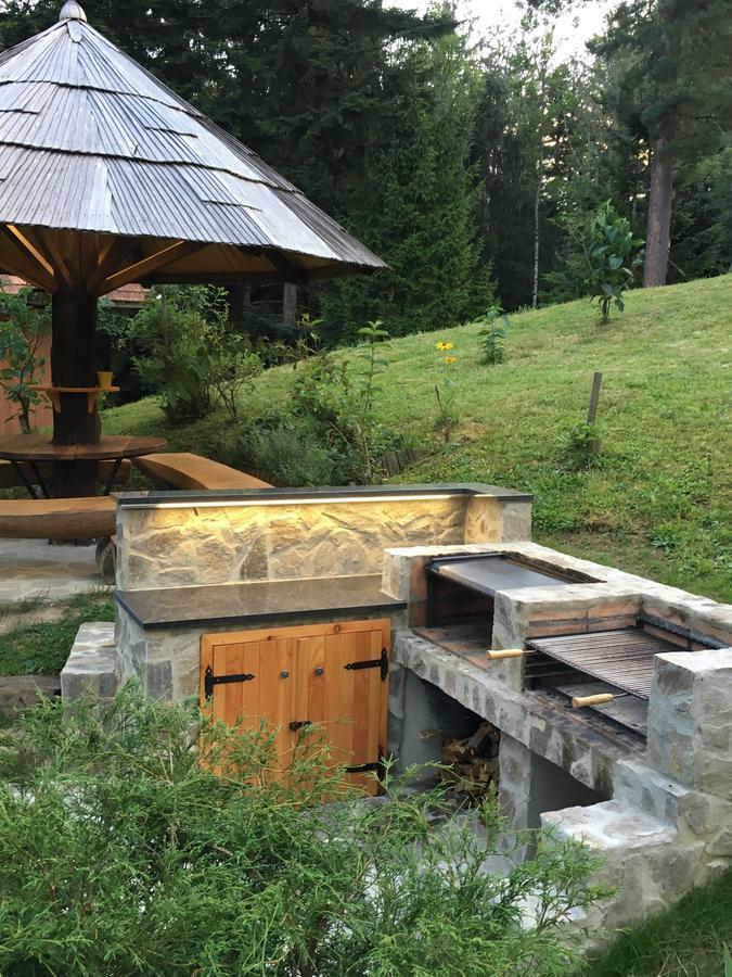 Pocitniska Hisa Koca Dobnik Lodge Lovrenc na Pohorju