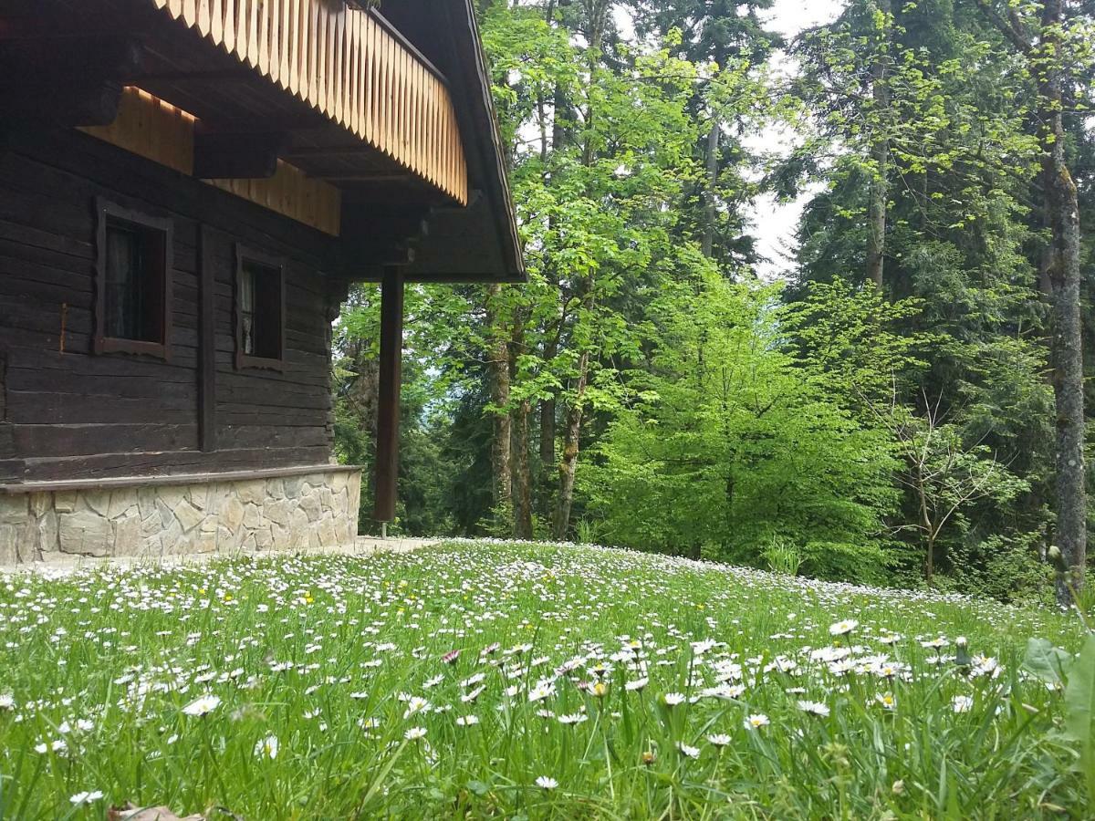 Pocitniska Hisa Koca Dobnik Lodge