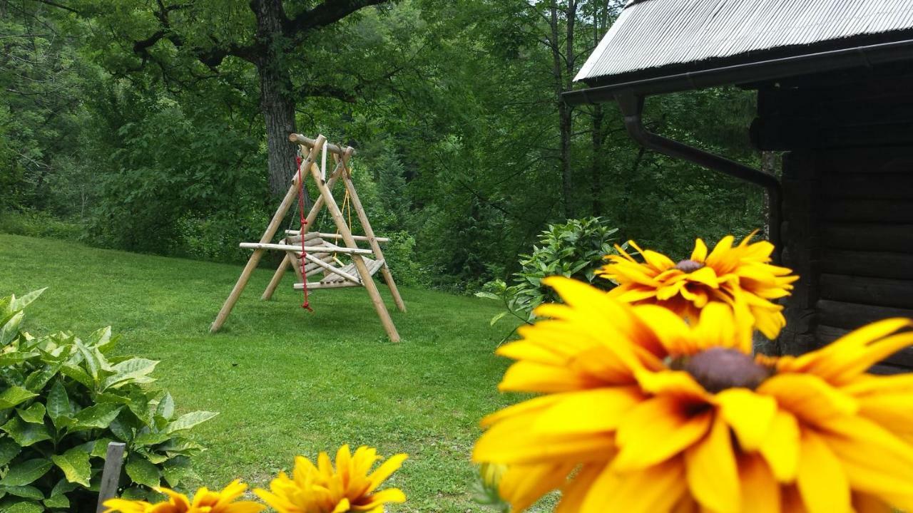 Pocitniska Hisa Koca Dobnik Lovrenc na Pohorju