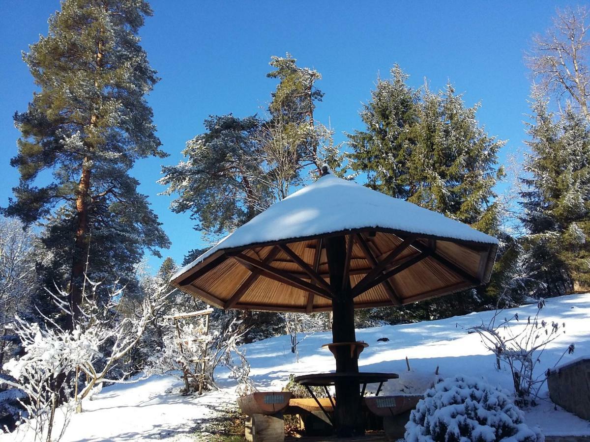 Lodge Pocitniska Hisa Koca Dobnik Lovrenc na Pohorju